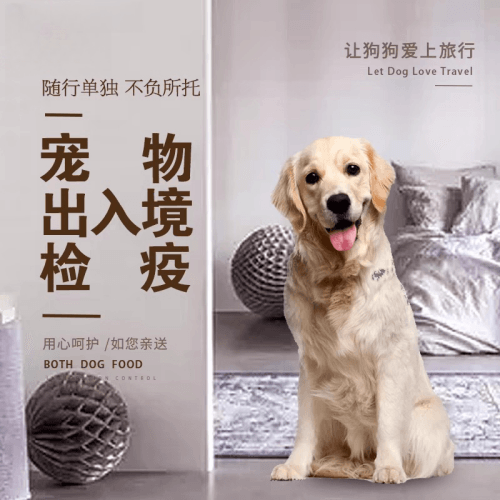 上海宠物托运到哥伦比亚猫狗宠物入境规定和