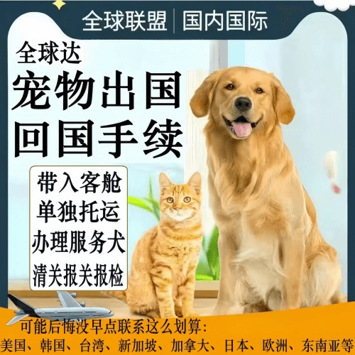 上海宠物托运到柬埔寨宠物入境规定和要求