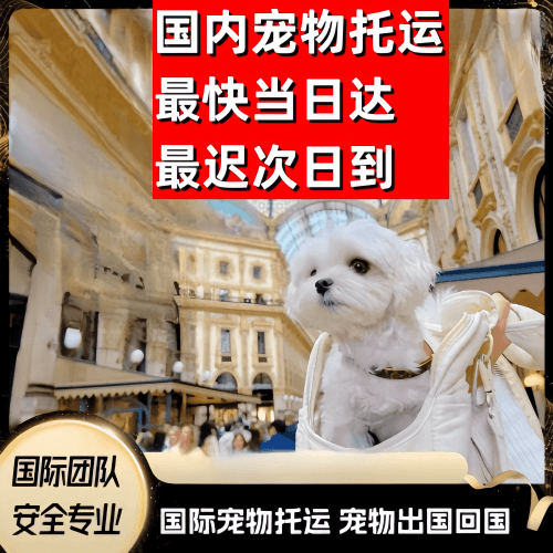 上海到澳大利亚（澳洲）宠物入境规定和要求