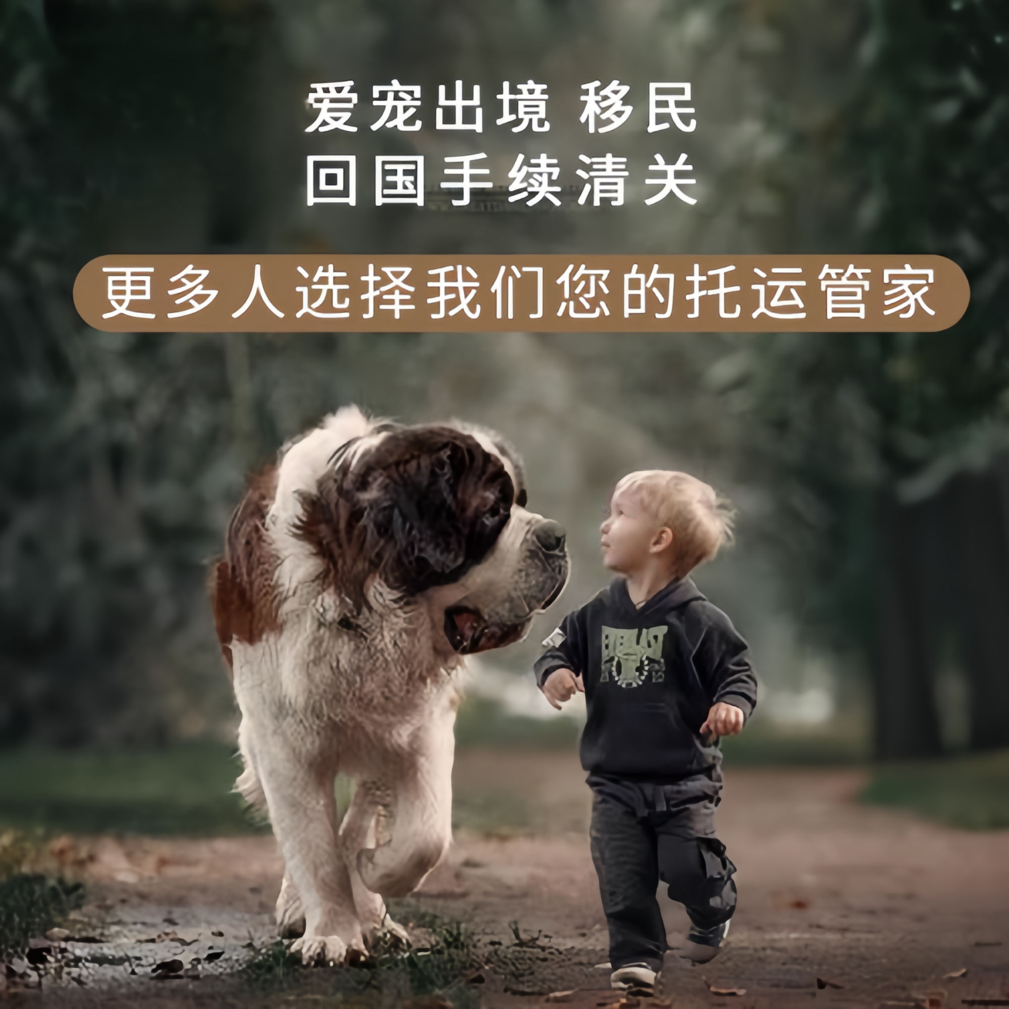 满财上海宠物全球达宠物托运在遵守入境目的地政策的条件