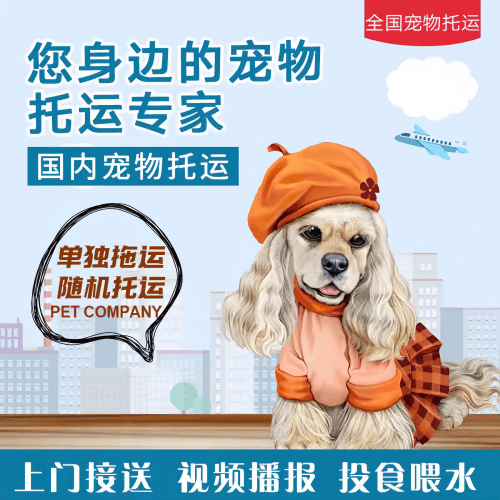 满财上海宠物全球达宠物托运作为专业的宠物运输代理机构
