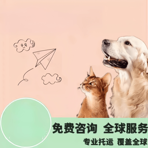 满财全球达宠物托运禁寄说明